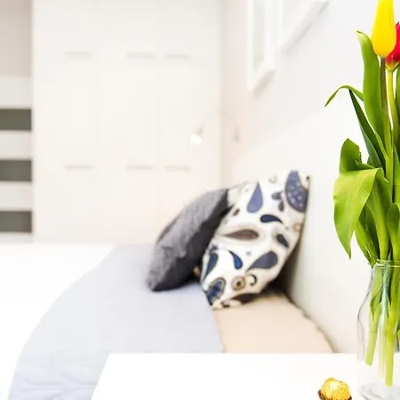 In-apart Cracow Old Town Novum Apartament